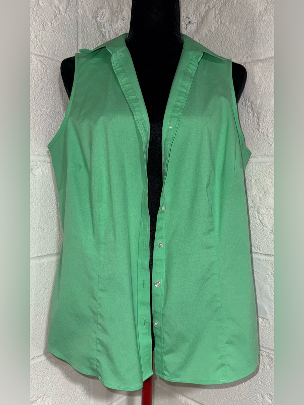 Talbots Wrinkle Resistant Sleeveless Button Down Shirt 14W Petite Green